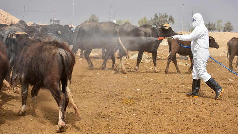 ديالى تسجل اصابة جديدة بالحمى النزفية وتفرض حظراً