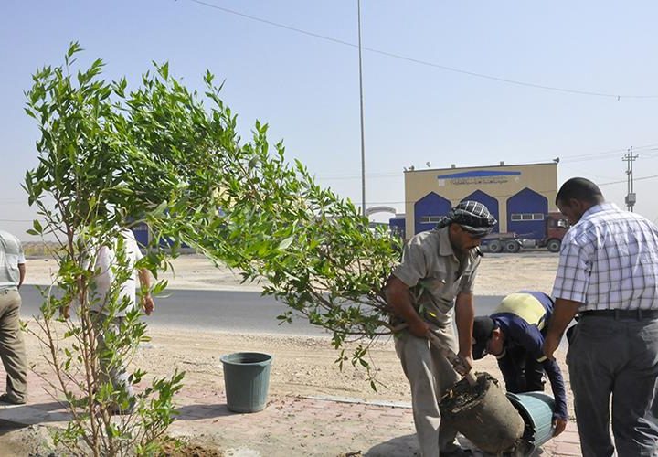 أمين بغداد: تعويض كل شجرة أزيلت بسبب مشاريع الطرق بـ 10 وبذات الموقع