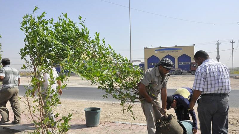 أمين بغداد: تعويض كل شجرة أزيلت بسبب مشاريع الطرق بـ 10 وبذات الموقع