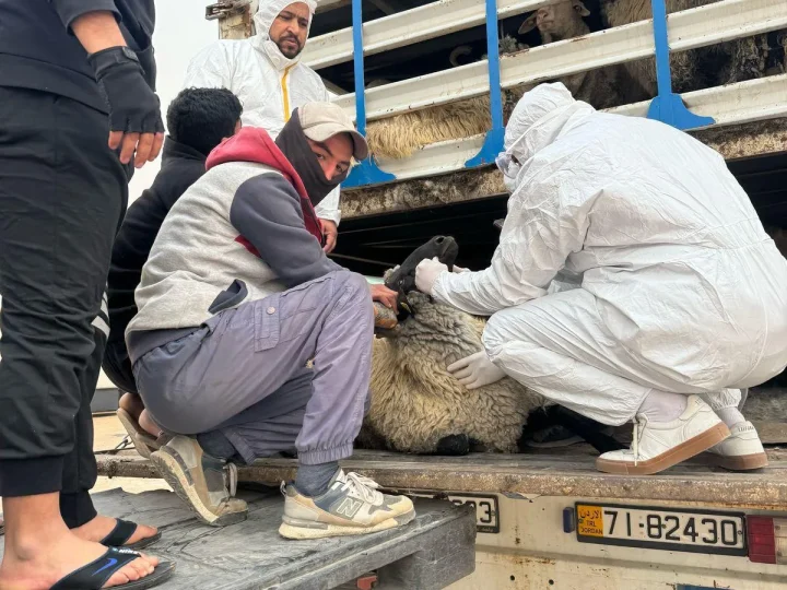 بعد الحمى القلاعية.. العراق يشدد الإجراءات الخاصة بالفحوصات البيطرية في منافذه الحدودية